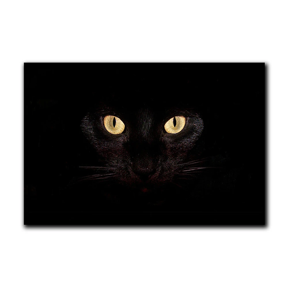 MDCT 3D Black Cat Eyes Floor Mats Doormats 40x60cm Bathroom Hallway