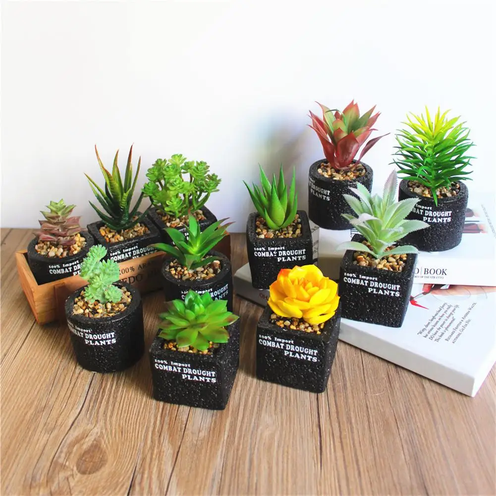 Innovative Decorative Flower Artificial Fleshiness Cactus Aloe Succulent Plant Bonsai Local Landscape Home Balcony Decoration Innovative Decorative Flower Artificial Fleshiness Cactus Aloe Succulent Plant Bonsai Local Landscape Home Balcony Decoration