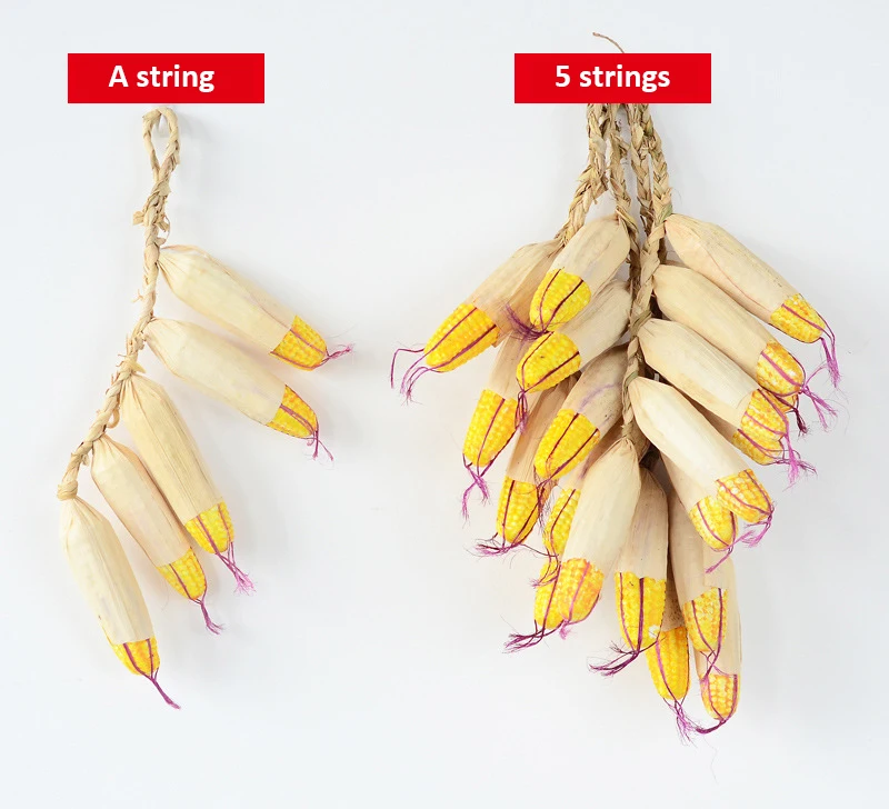 5359005760_775085836