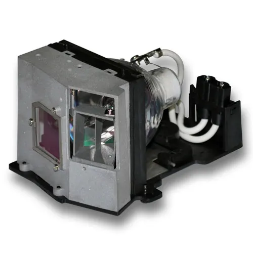 

Free Shipping  Original Projector lamp for OPTOMA BL-FU250D with housing