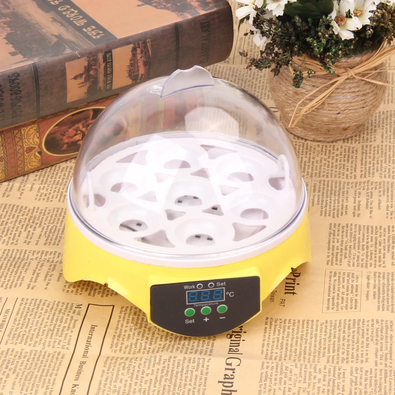 Mini 7 Eggs Incubator Poultry Incubator Brooder Digital Temperature Hatchery Egg Incubator Chicken Duck Bird Pigeon UK/US Plug Mini 7 Eggs Incubator Poultry Incubator Brooder Digital Temperature Hatchery Egg Incubator Chicken Duck Bird Pigeon UK/US Plug