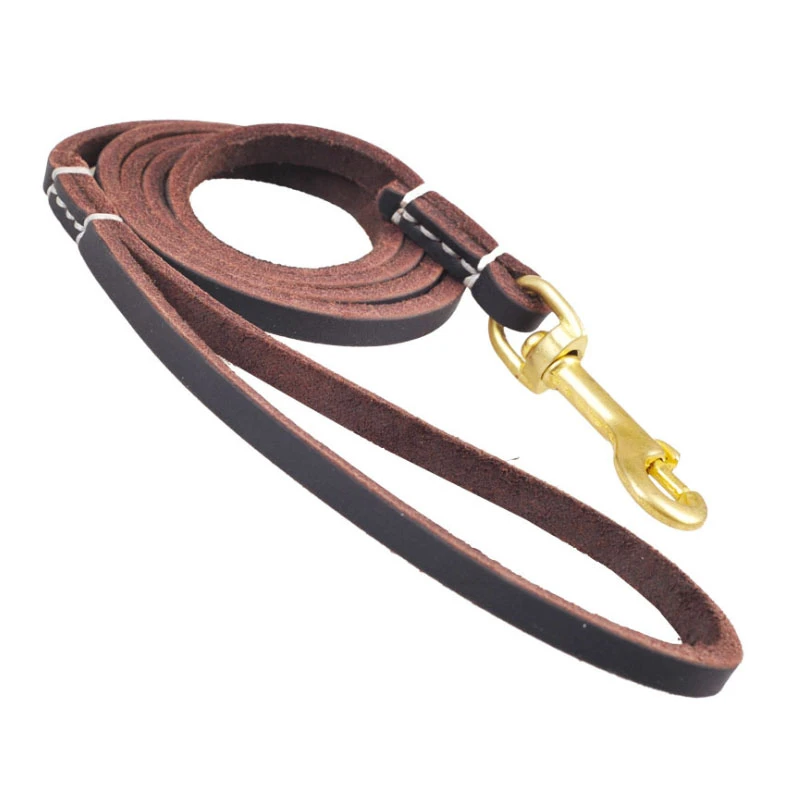 thin leather dog leash