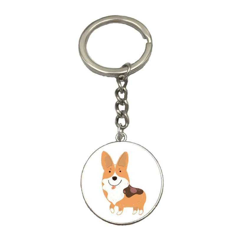 corgi swim trunks