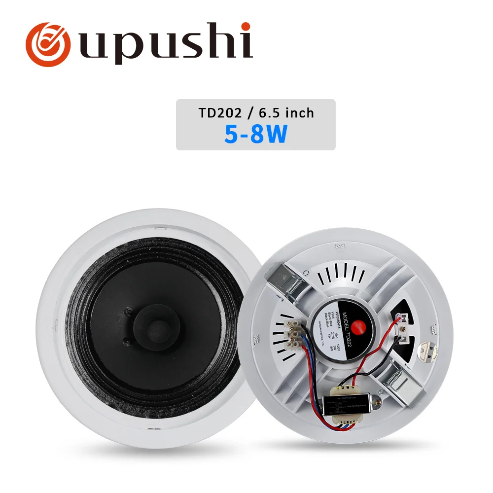 HT 2.4AT 5 Zone 240W усилитель мощности с потолочным динамиком TD202 Combo Package|Аудиосистемы