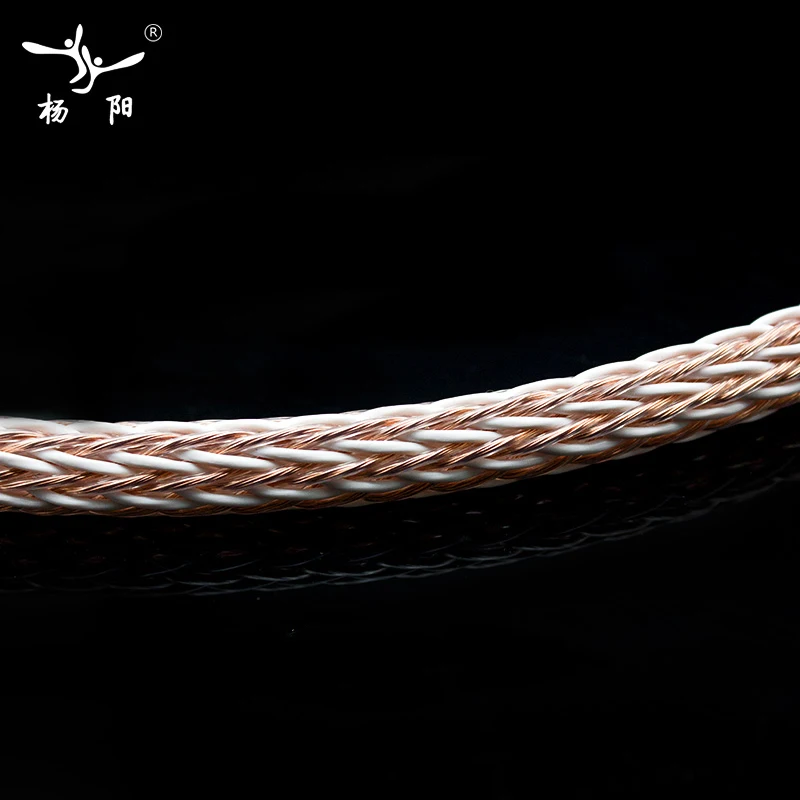  Free shipping YYAUDIO 12TC Twist Cable OCC Speaker Cable HIFI Audio loudspeaker Wire Cord DIY 24 St