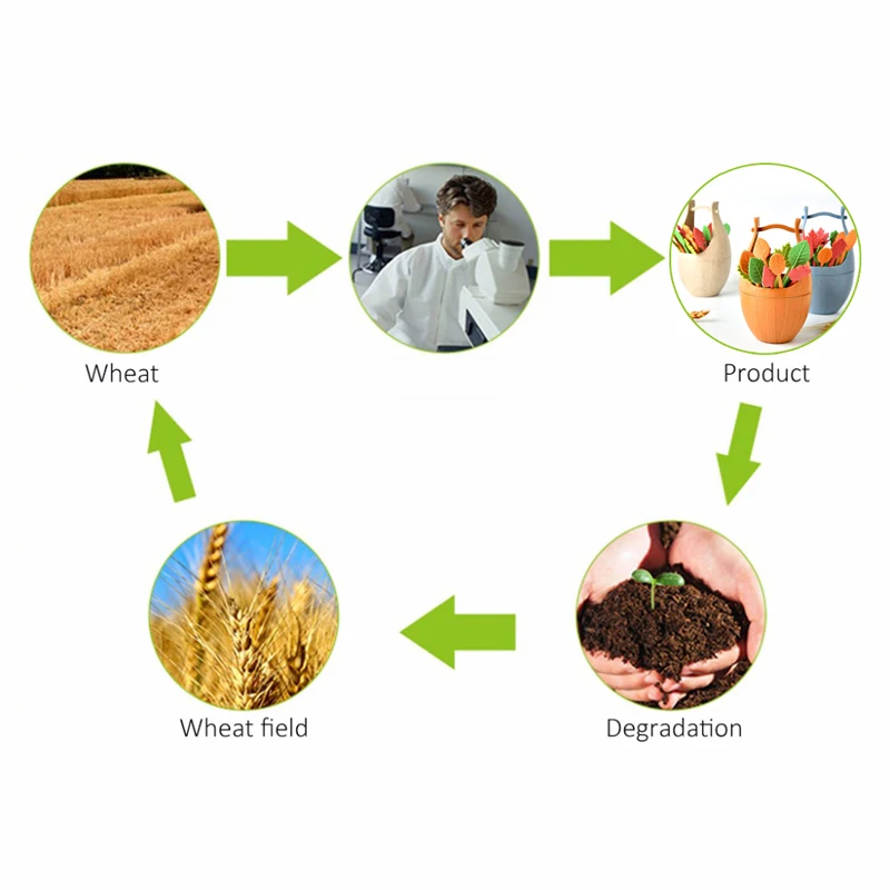 FHEAL 16 шт. зеленые биоразлагаемые листья пшеничной соломы, фрукты, вилки, набор, вечерние вилки для торта, салата, овощей, вилки, выбор, инструменты для декора стола