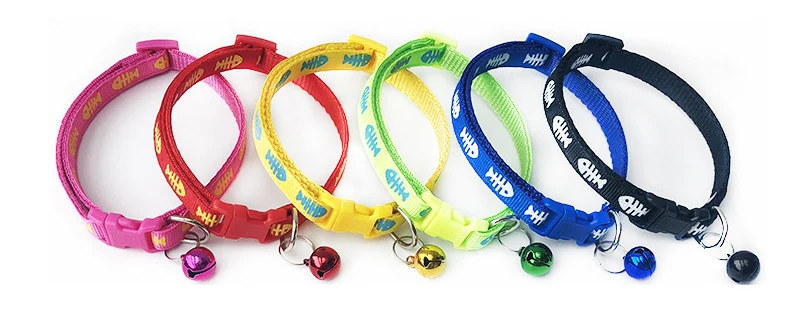 9393620454_1295703088