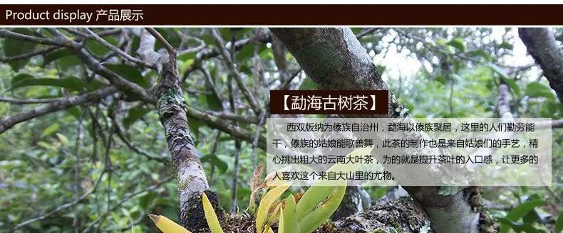 T2uqOnXMlaXXXXXXXX-250437444