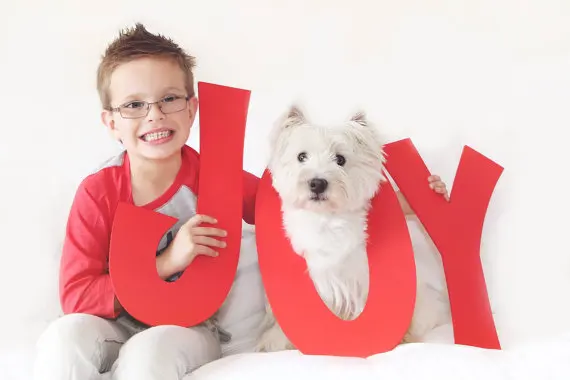 

JOY Holiday Card Photo Prop Christmas Sign -Holiday Christmas Cards Prop and Family Photography