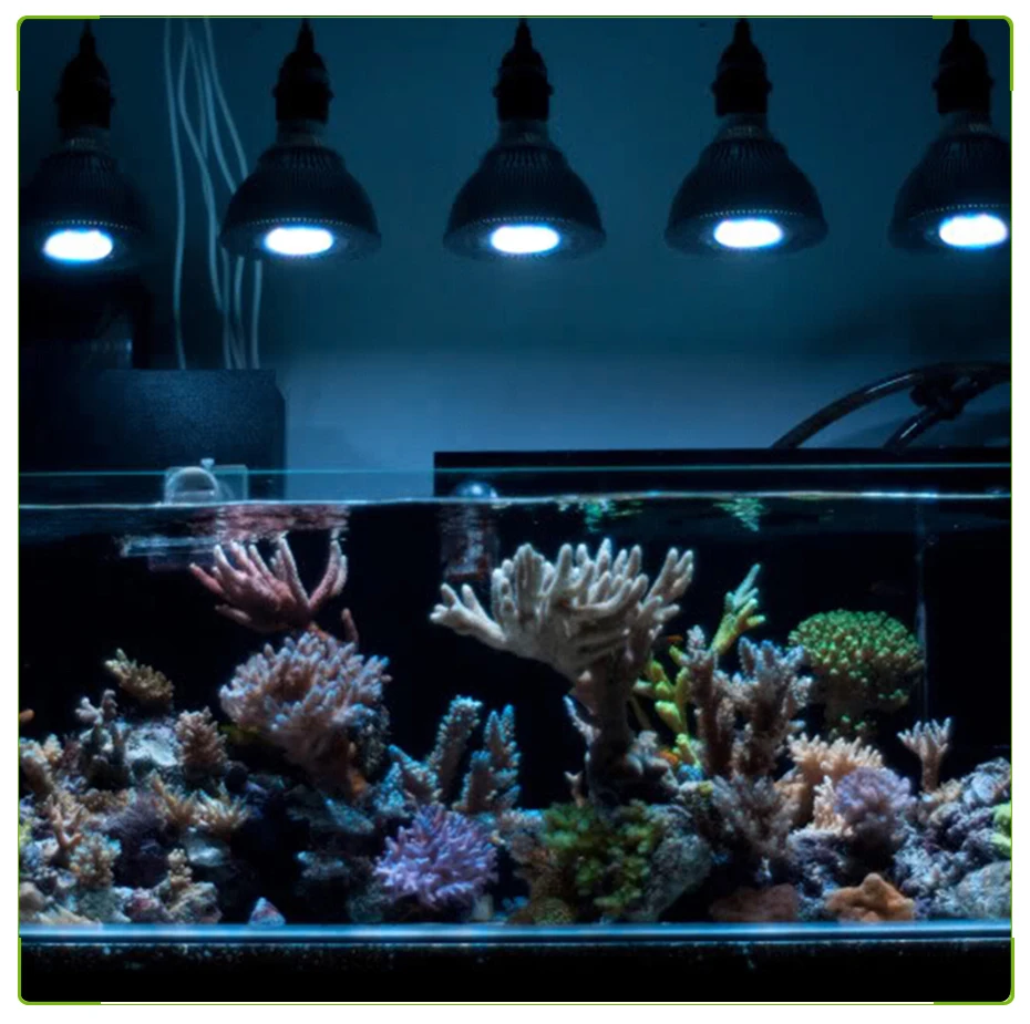 освещение в аквариуме с растениями. освещение в аквариуме должно. фитолампы для аквариума. дидиплис аквариумное растение. Chihiros a2 90.