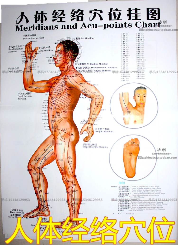 6pcs/set medical Meridian acupuncture wall charts human body meridian points diagrams hand-foot wall charts Scrapping flipchart 6pcs/set medical Meridian acupuncture wall charts human body meridian points diagrams hand-foot wall charts Scrapping flipchart
