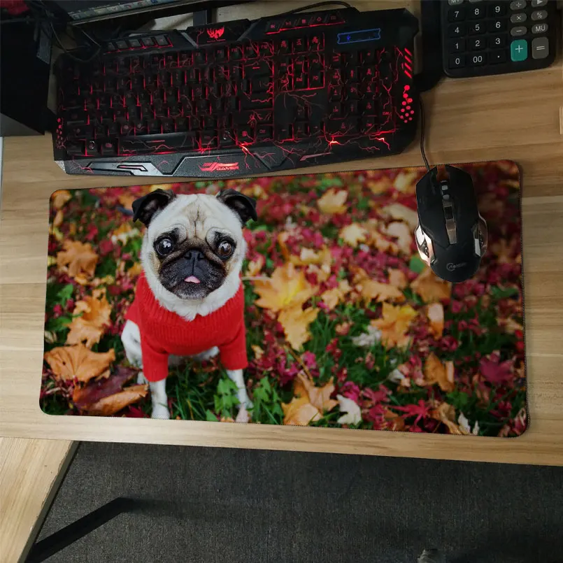 pug funny animals wallpaper notbook computer Gaming Rectangle Silicon Durable Mouse Pad Computer Mouse Mat (6)