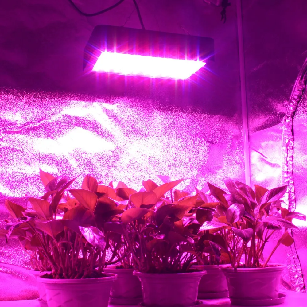 Full Spectrum LED Grow Light 300W 600W 1000W Growing Lamp Indoor