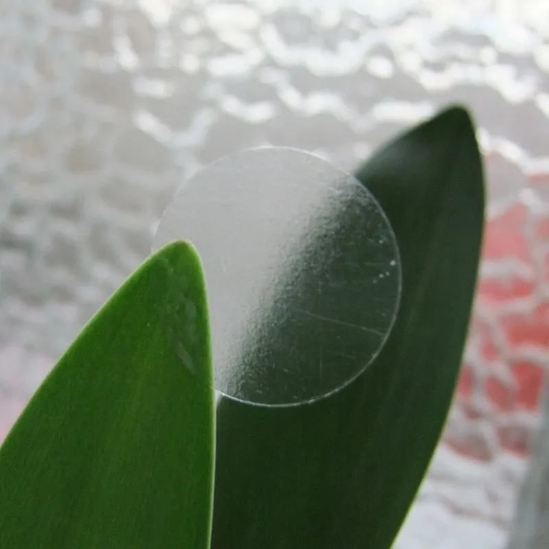 DSCF2687