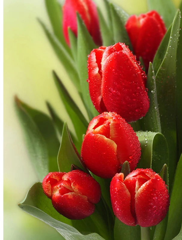 HTB1XiHbX4DBK1JjSZFlq6ApCVXaD