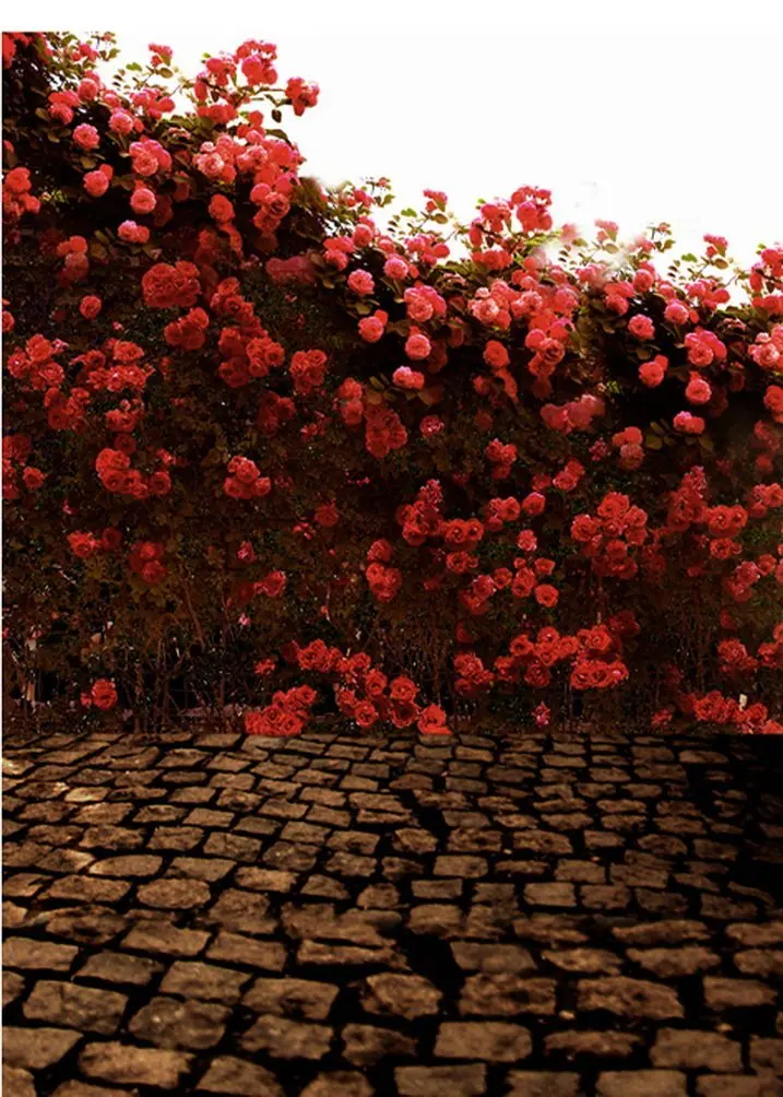 

Brick Floor Red Flowers Photography Backdrops Photo Props Studio Background 5x7ft