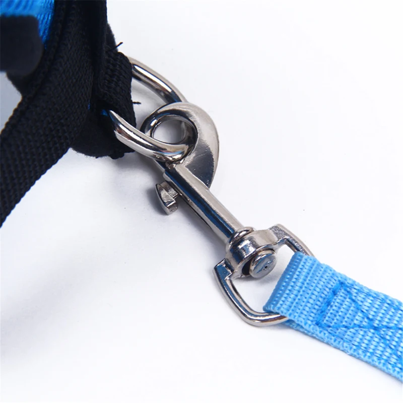 14 leash 
