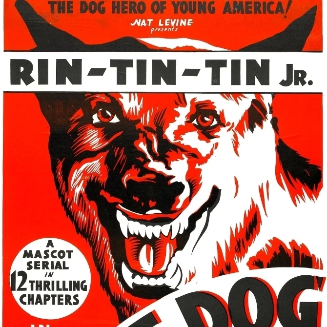 The Wolf Dog Rin Tin Tin Jr. 1933 Movie Poster Masterprint (11 x 17)