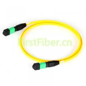 

FirstFiber 50m Male/UPC - Male/UPC SMF 12 cords MTP patch cord MPT MPO jumper MPO Datacenter Cabling A straight through