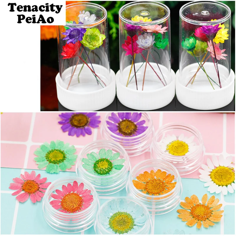 

Dried flower material bag diy crystal glue material filling material dried flower cell phone shell embossed plant specimens