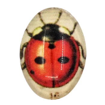 

DoreenBeads Glass Dome Seals Cabochons Embellishments Findings Oval Flatback Multicolor Ladybird Pattern 18mm x 13mm ,2 Pieces