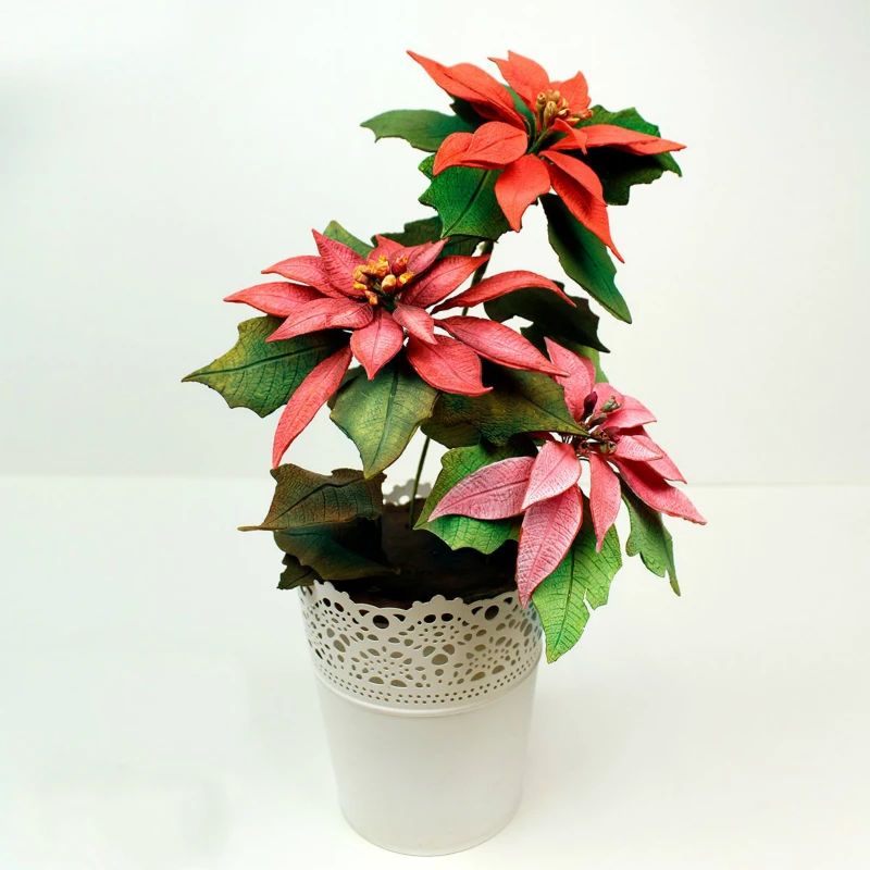 Форма Poinsettia и Veiner, силиконовая форма для выпечки, форма для торта, инструменты для украшения торта на день рождения, силиконовая форма для торта Dec