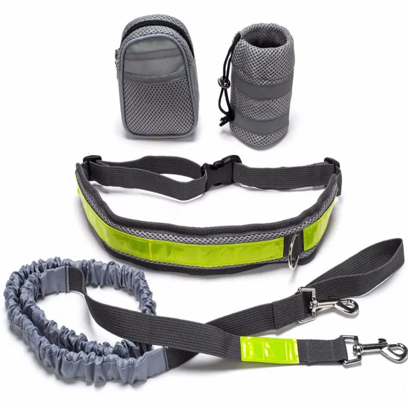 Sport Elastic Pet Dog Leash Training Set Nylon Hands Free Waist Belt