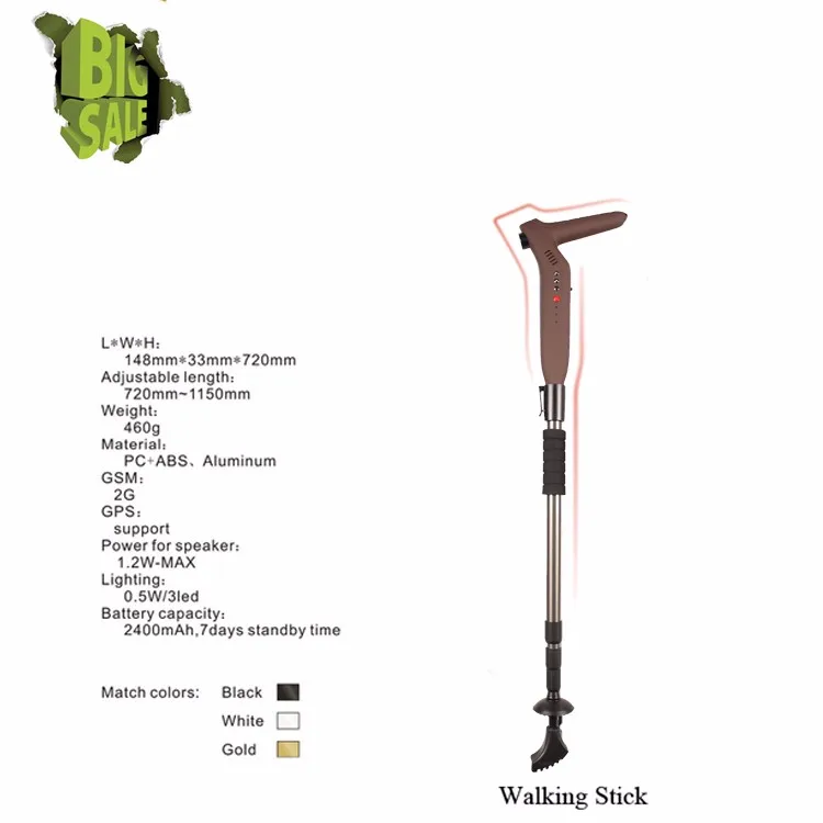 walking cane (2)