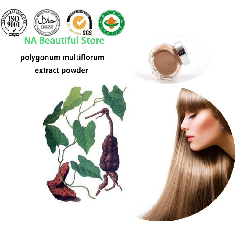 

High quality 10:1 He shou wu /polygonum multiflorum extract powder