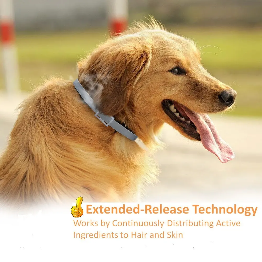 

Gray Collar flea treatment for dogs Pet Any Size 25inches 8 Month Protection