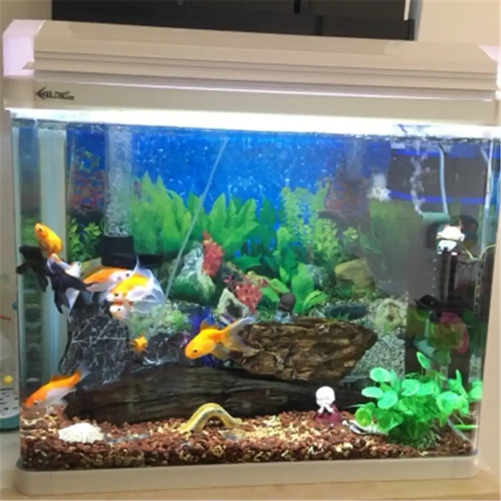 新しい 30 40 50 60 センチ高ライブ水族館背景ポスター水槽風景両面背景壁絵の装飾光沢のある Fish Tank Landscaping Aquarium Backgroundaquarium Tank Decoration Aliexpress