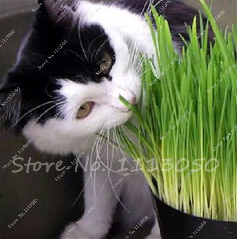 5642