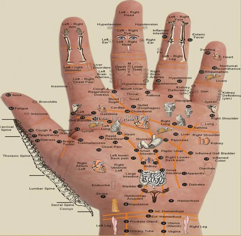 Acupuncture massage Ring 5