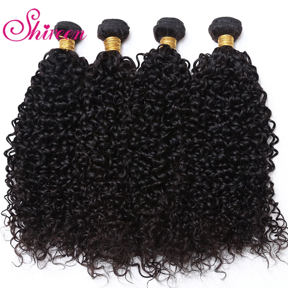 Shireen Brazilian Kinky Curly Bundles with Closure Grade 8A Hair Cheap Bundles of Hair with Closure 4 Piece Bundles with Closure
