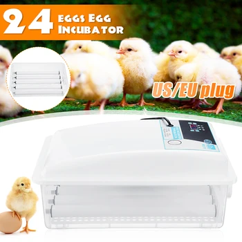 

Automatic Egg Incubator 24 Eggs Capacity Incubator Brood Machine Chicken Duck Egg Hatcher Electronic Incubator Equipment