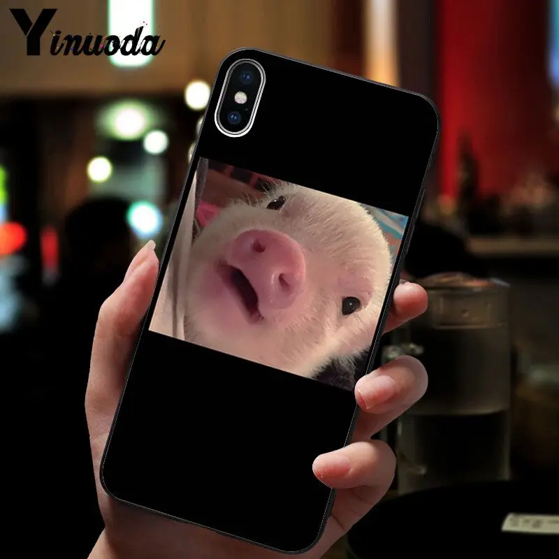 Cute Pig Print 