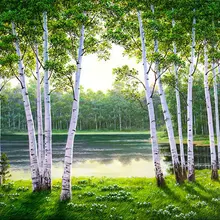 Diy 3d Картина из бисера, пейзаж озеро домашний декор Набор для алмазной вышивки Берёзовый лес узор холст в рулоне мозаика крестиком