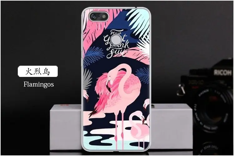  Flamingos