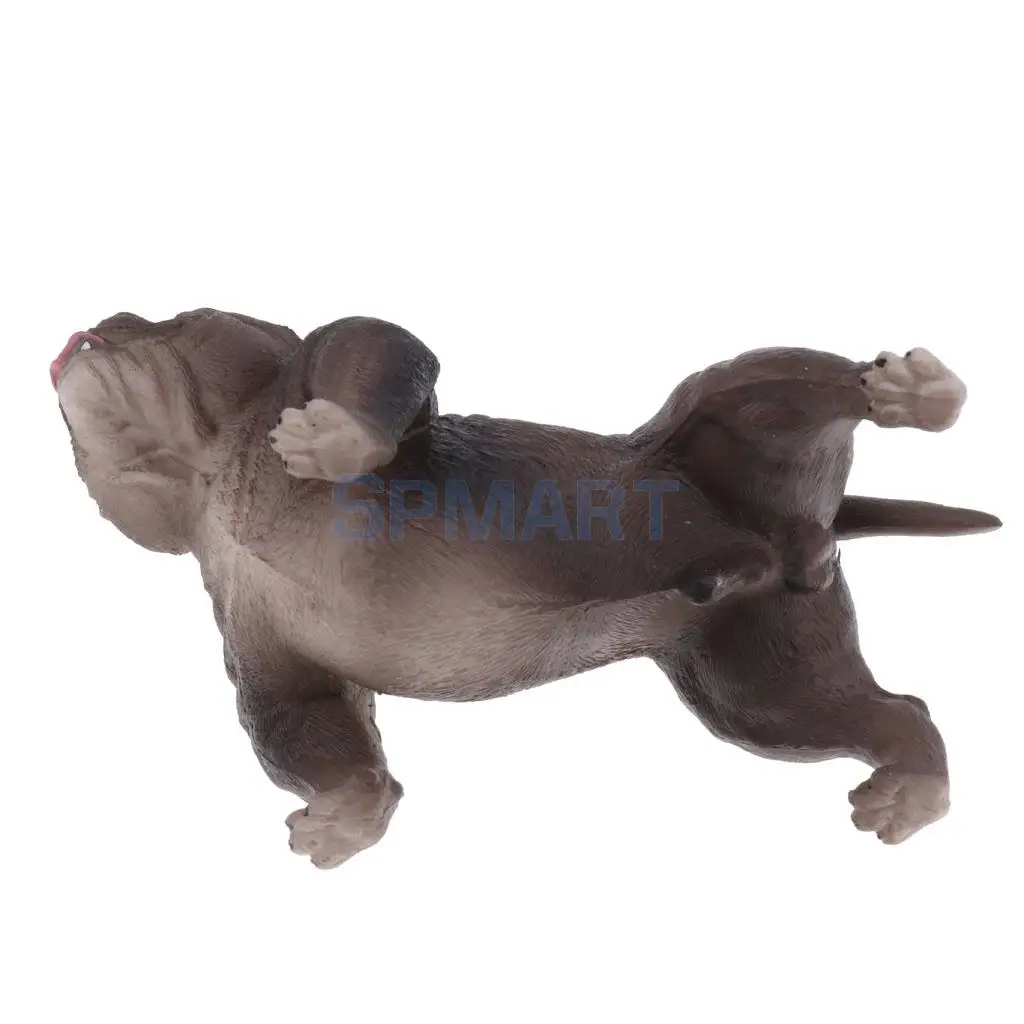 Simulation Wildlife Farm Pet Animal Model Action Figures Figurine Kid Educational Science Nature Toy Home Collectible Decoration