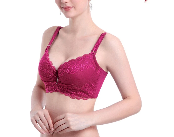 jcpenney sports bra plus size