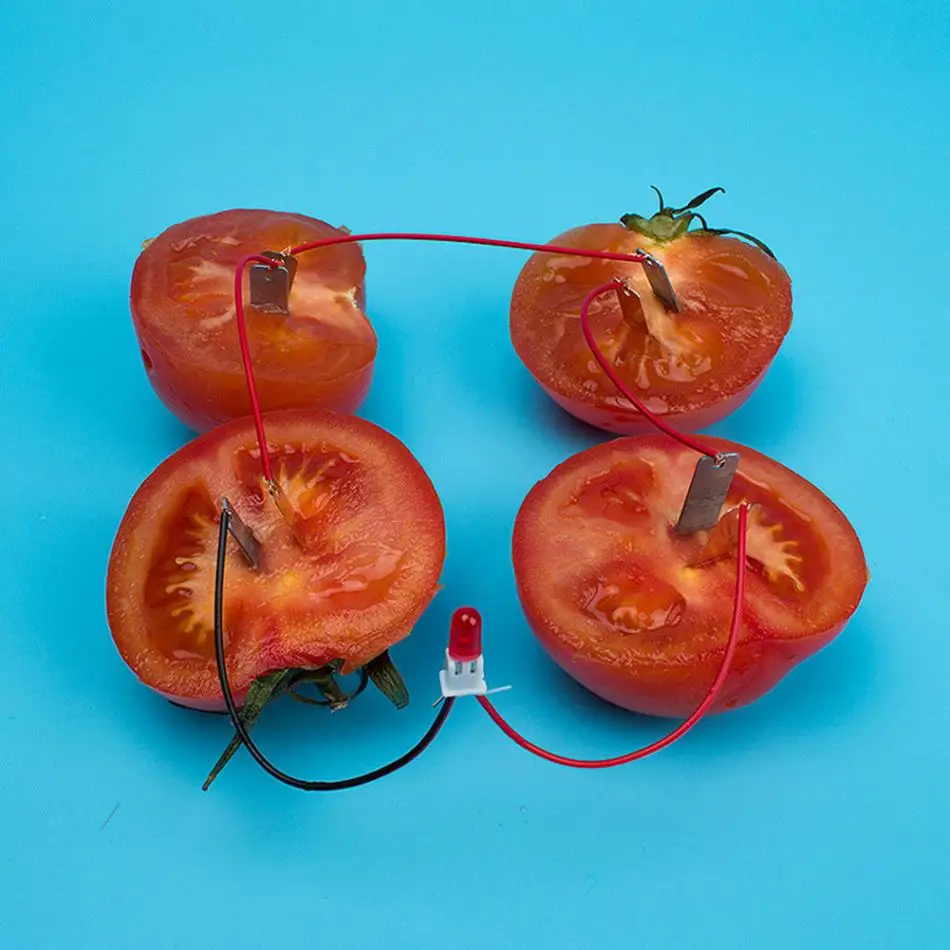 Дети DIY домашние фрукты батарея питание образовательный электрогенерирующий эксперимент упражнения детские мышление способность