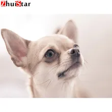 DIY Алмазная картина фото на заказ белая собака Алмазная картина Полная площадь дрель Алмазная вышивка LWR