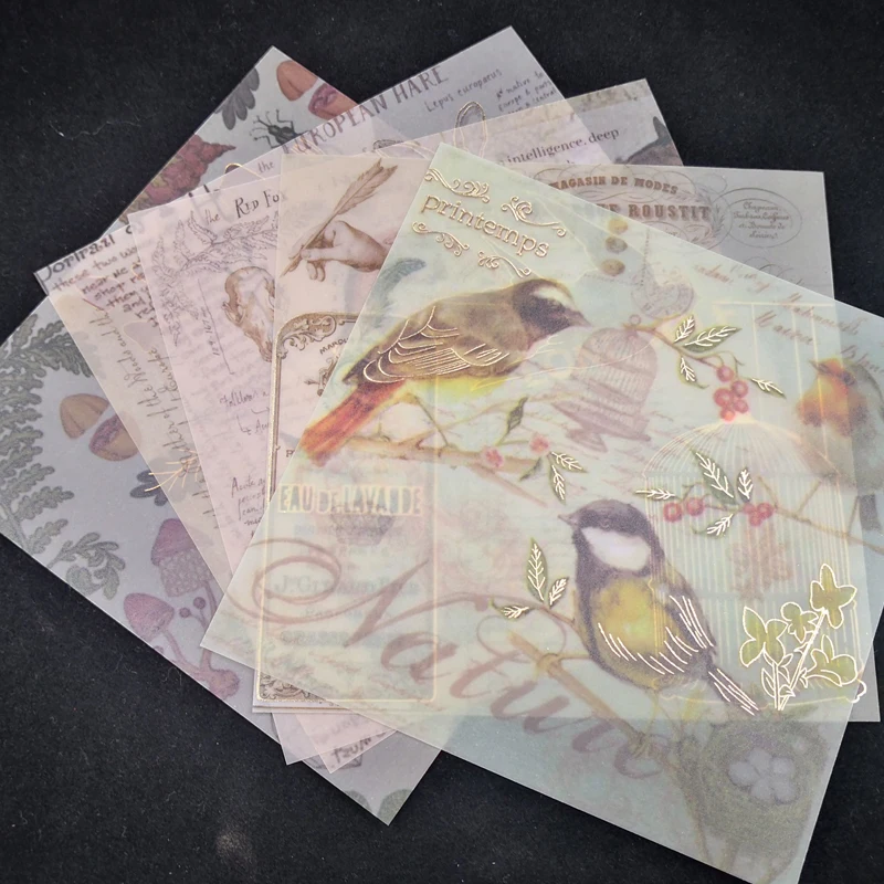 Vintage Bird Background Vellum Paper Stickers for Scrapbooking Happy Planner Card Making Journaling Project