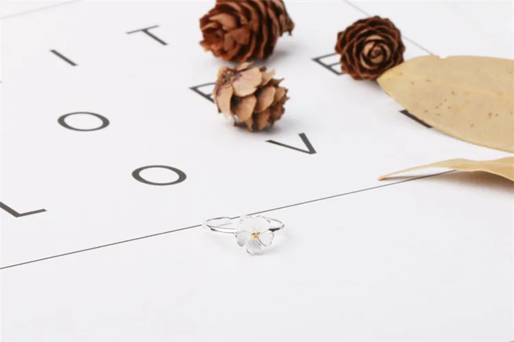 8246859075_1646359543