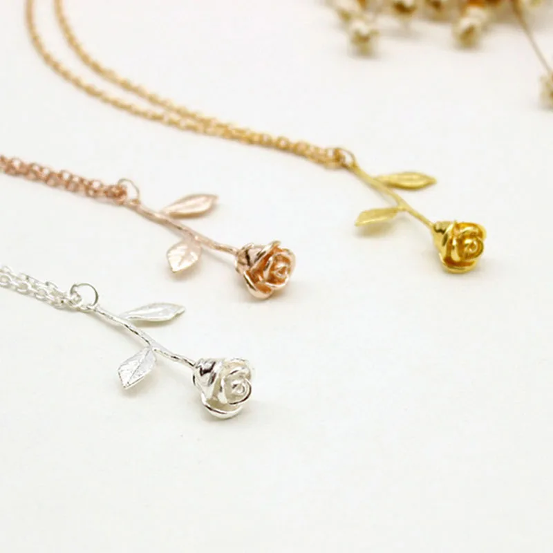 245083_no-logo_245083-1-02