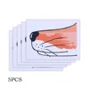 5 PCS Fox mouth