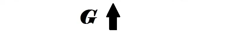 G 7