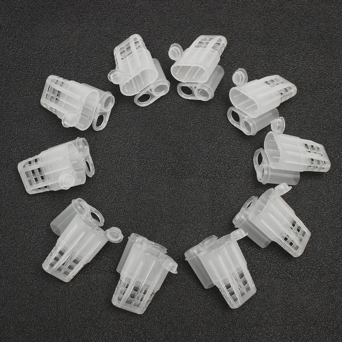 155pcs/Set Plastic Queen Rearing System Cupkit Mayitr Cultivating Box Cell Cups Bee Catcher Cage Beekeeping Tool Equipment
