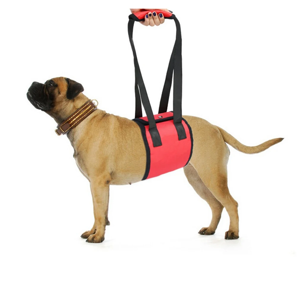 Pet Dog Support Rehabilitation Harness For Aging Disabled Injured Dogs