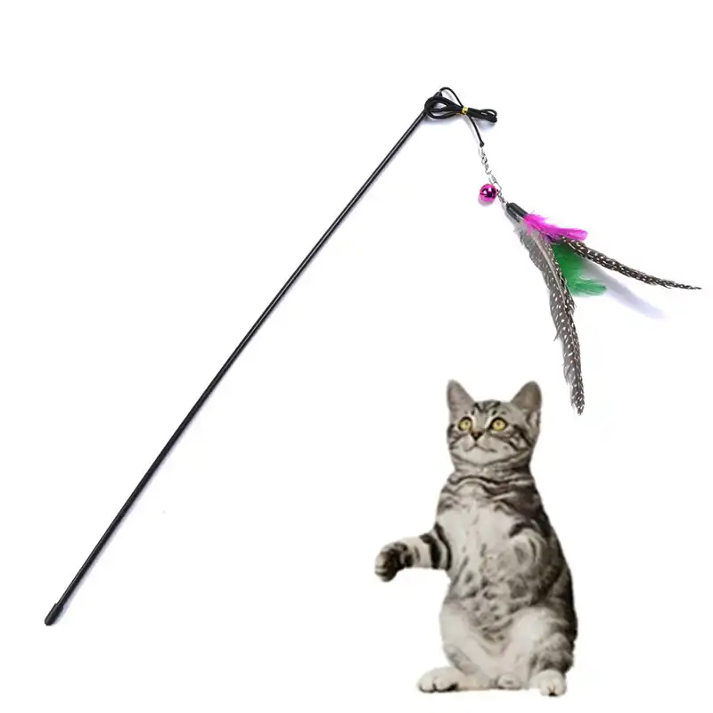 cat wand